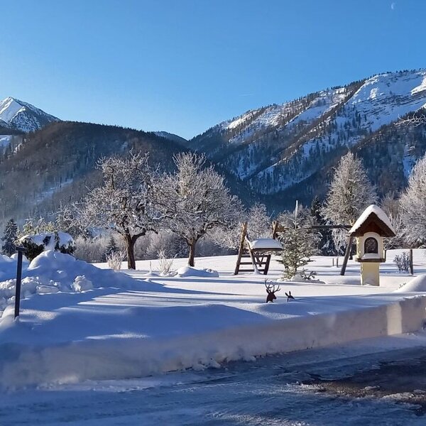 Winter landscape