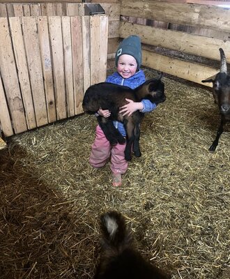 A child holding a baby goat in the barn at the Farm House.