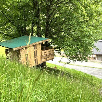 A wooden play hut with a green roof nestled under a tree on the farm house property.