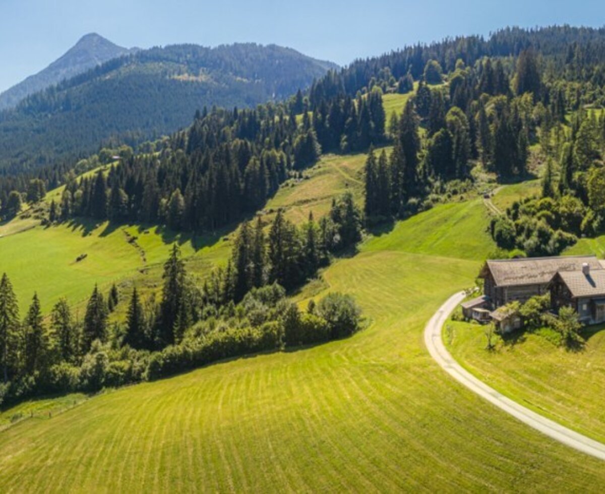 The idyllically situated apartment building surrounded by expansive green meadows and dense pine forests under a bright blue sky.