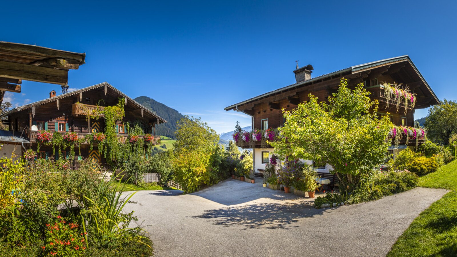 Exterior of the Farm Houses, showcasing traditional wooden architecture with flower-filled balconies, surrounded by lush gardens and mountain scenery.