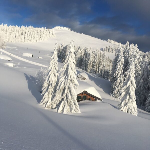 A snow-covered mountain landscape with fir trees, typical of the winter environment surrounding the farmhouse.