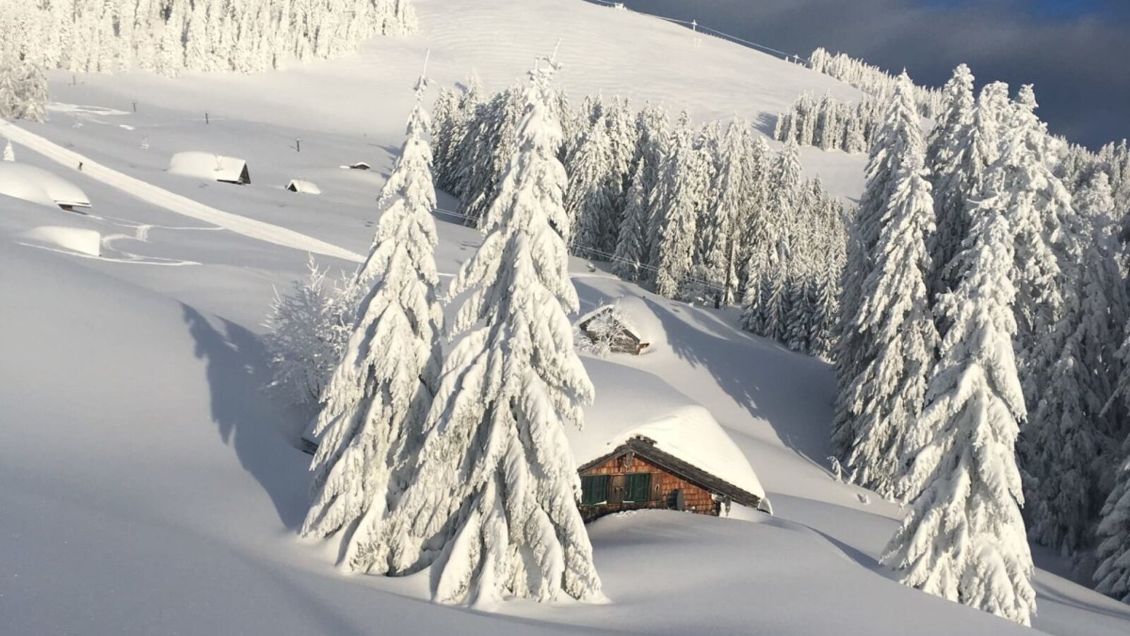 A snow-covered mountain landscape with fir trees, typical of the winter environment surrounding the farmhouse.