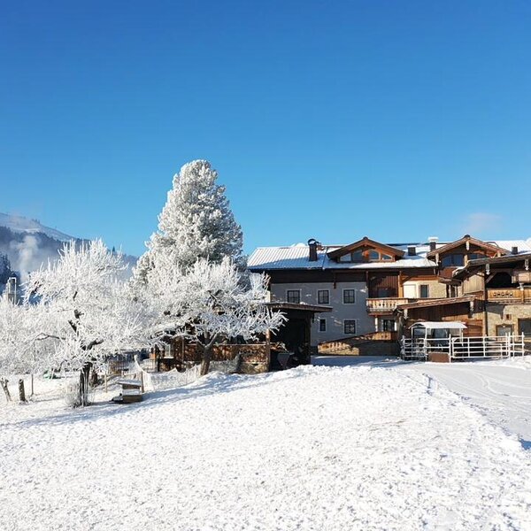 Winter landscape