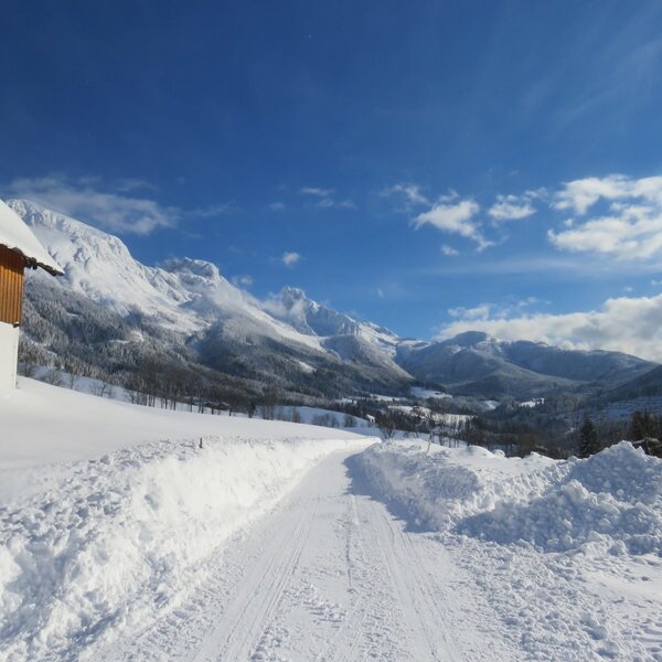 The farm house with a snowy road leading through a snow-covered mountain landscape.