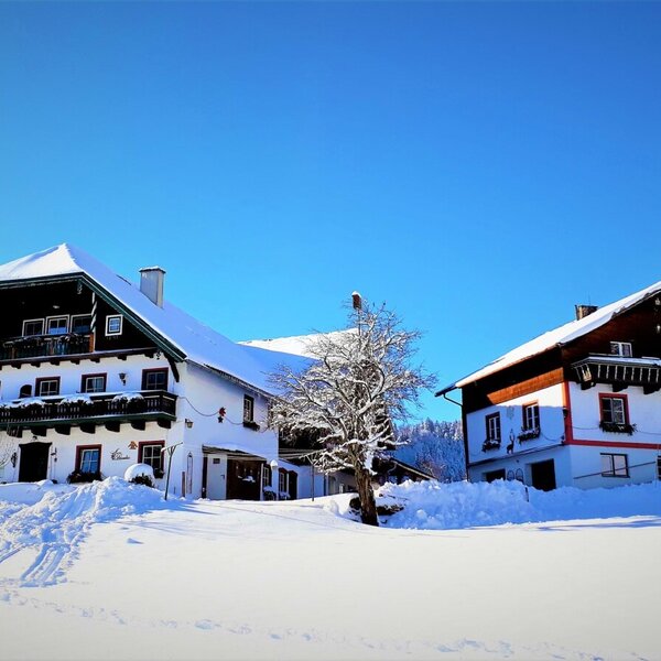 The farm house exterior in winter, with two traditional buildings covered in snow under a clear blue sky, and ski tracks in the foreground.