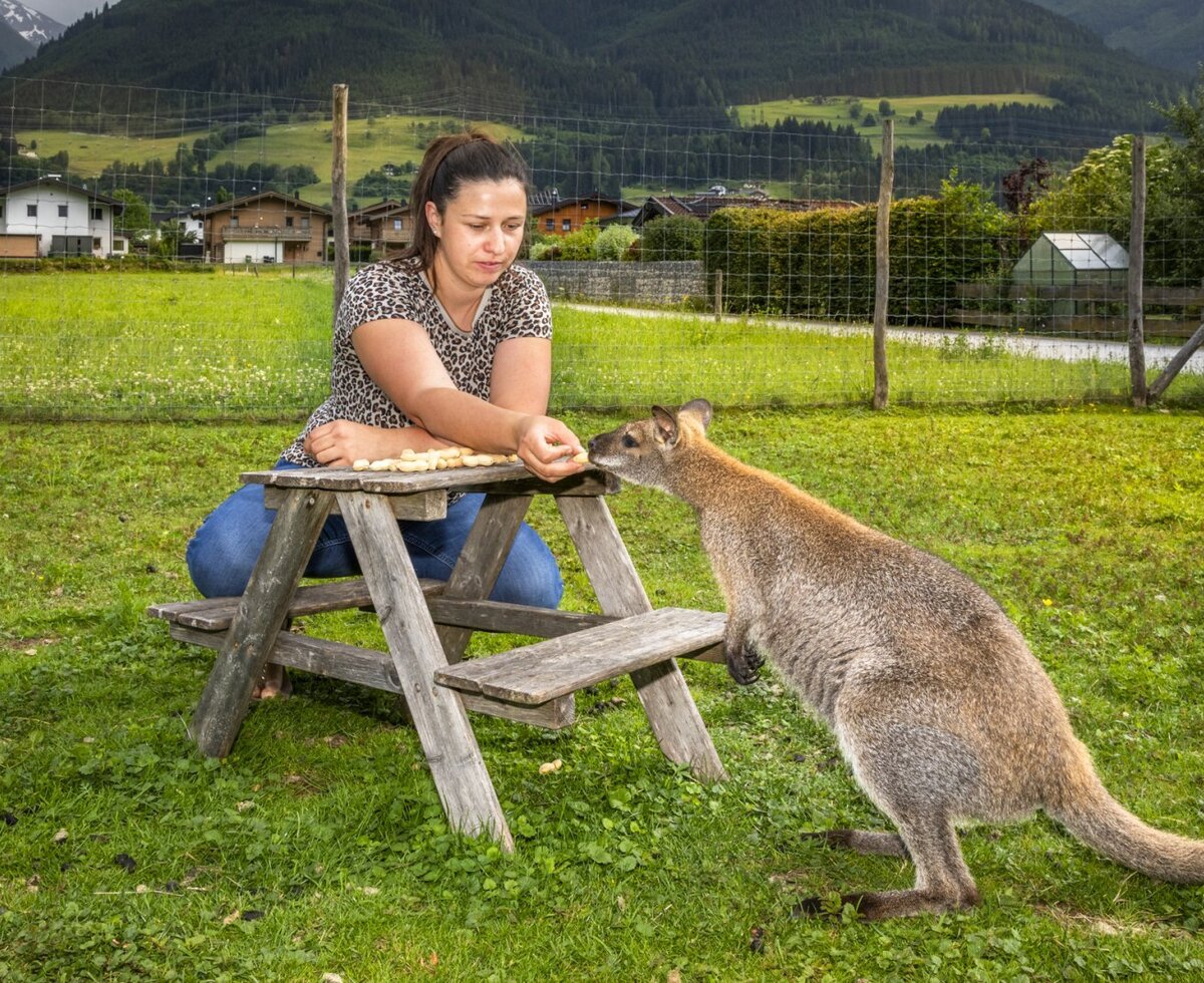 The apartment's idyllic green lawn offers the unique opportunity to hand-feed friendly kangaroos.