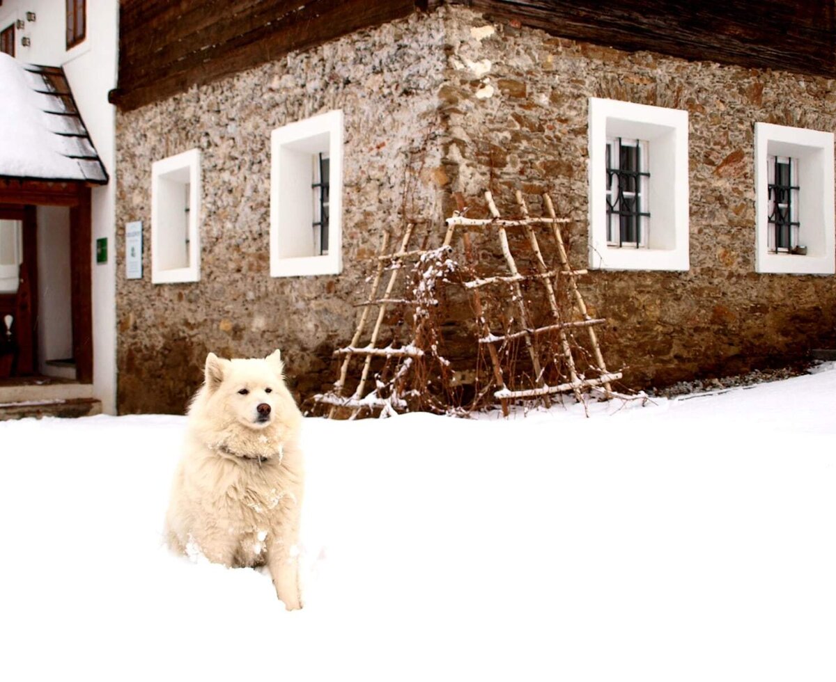 Farmhouse with Luna_Winter