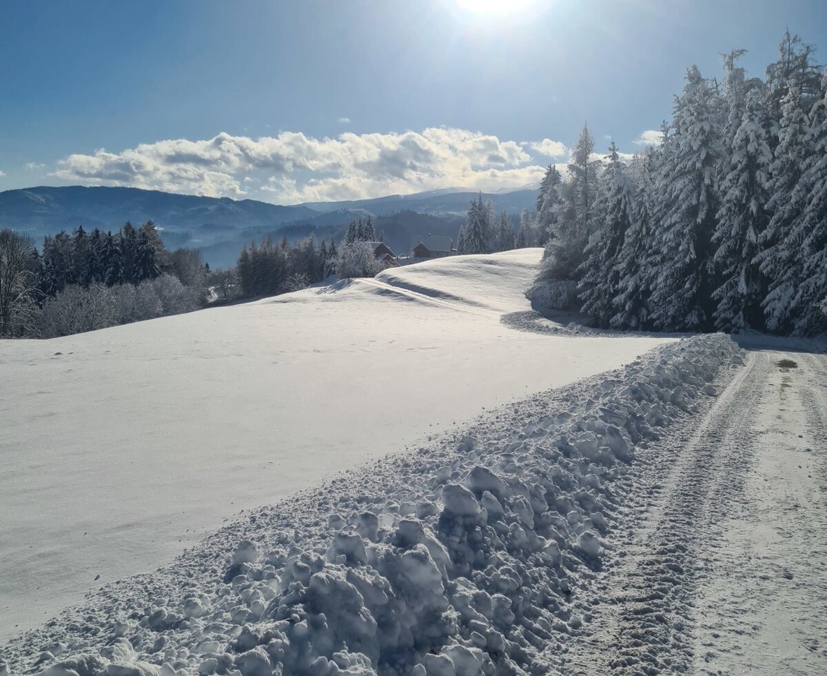 winter on the mountain