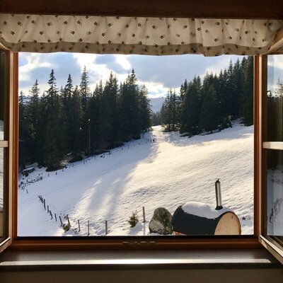 View from the bedroom