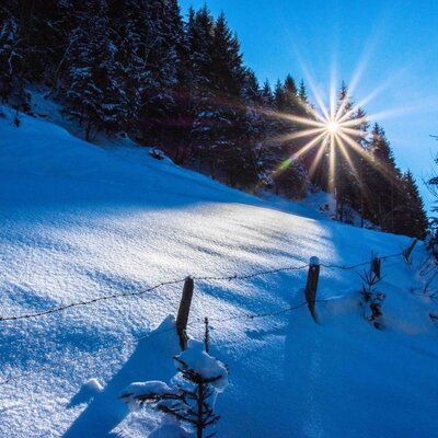 Almhütte Auszeit winter