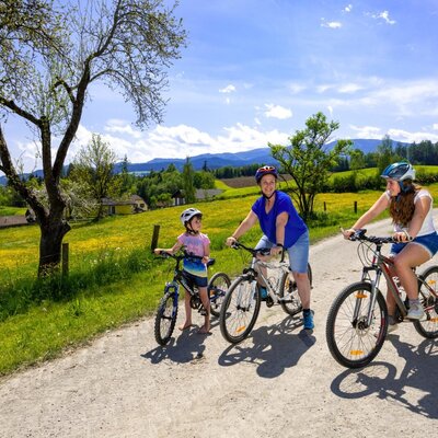 A family cycles on a rural dirt road through fields with mountains in the background, near the farmhouse.