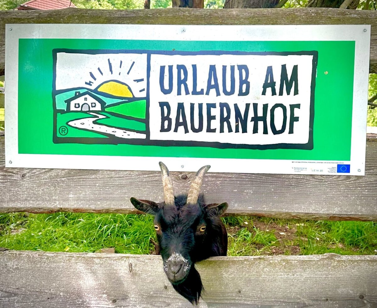A curious little goat peeks through the wooden fence beneath the welcoming "Urlaub am Bauernhof" sign at the farmhouse.