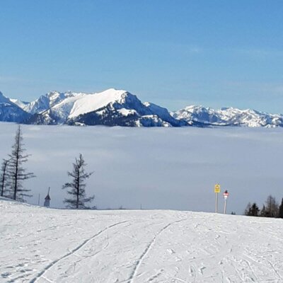View on the Aflenzer Bürgeralm