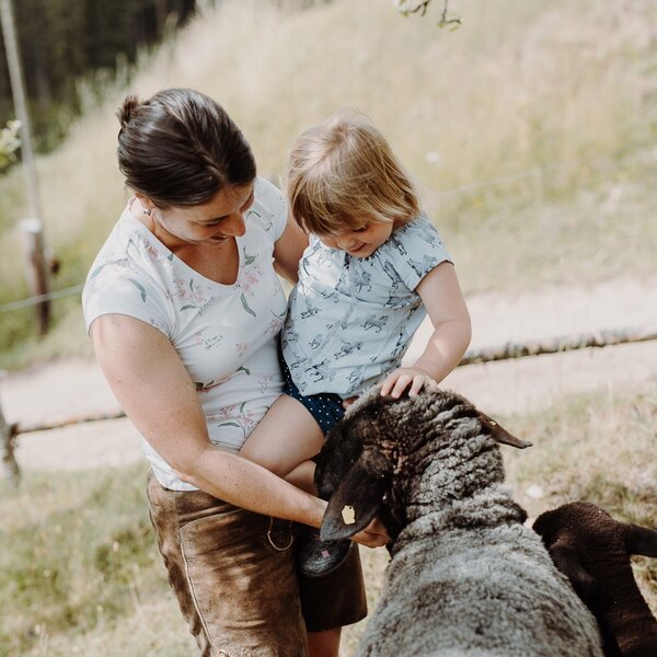 A child and an adult interacting with a sheep on the Farm House grounds.
