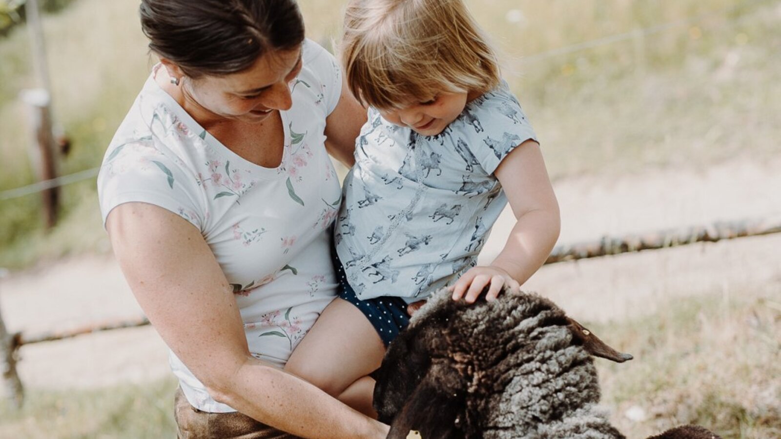A child and an adult interacting with a sheep on the Farm House grounds.