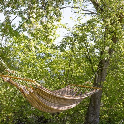 Striped hammock in the farmhouse garden under blooming trees.