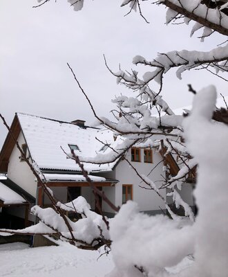 The Farm House exterior in winter, with snow covering the roof and tree branches in the foreground.