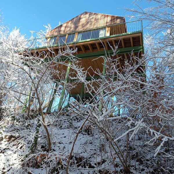 Treehouse in winter