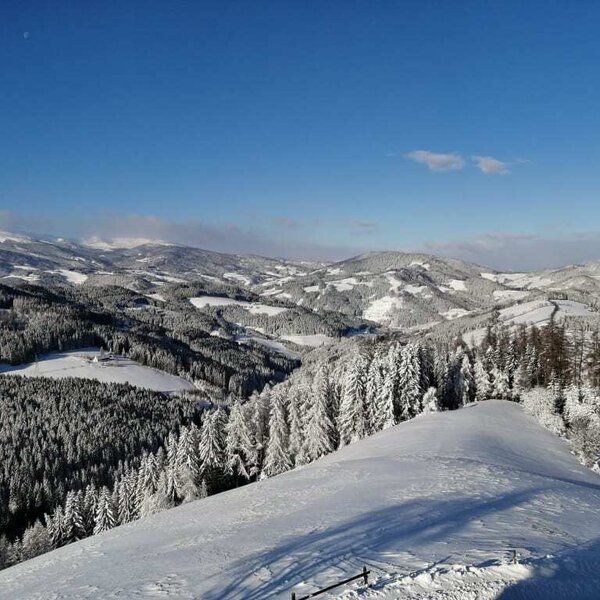 Snow landscapes