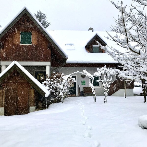 Holiday home in the snow Winter in Southeast Styria