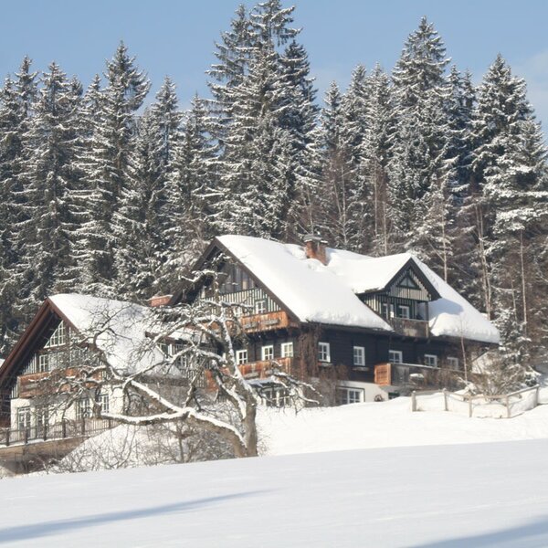 The Farm House in a winter setting, with snow-covered roofs and a dense forest backdrop.