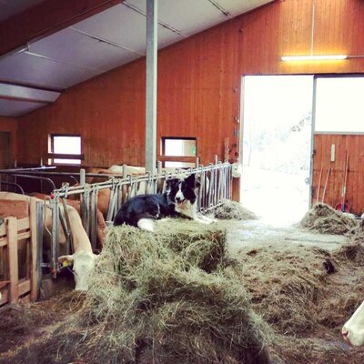 Stable time