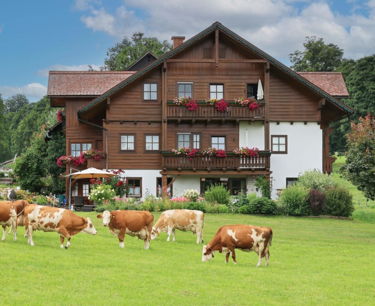 The inviting farmhouse with flower-filled balconies and cows grazing on the lush green meadow in front.