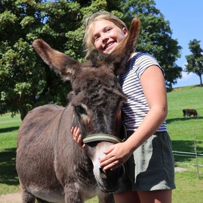 A friendly donkey to pet on the spacious green pastures of the farmhouse.