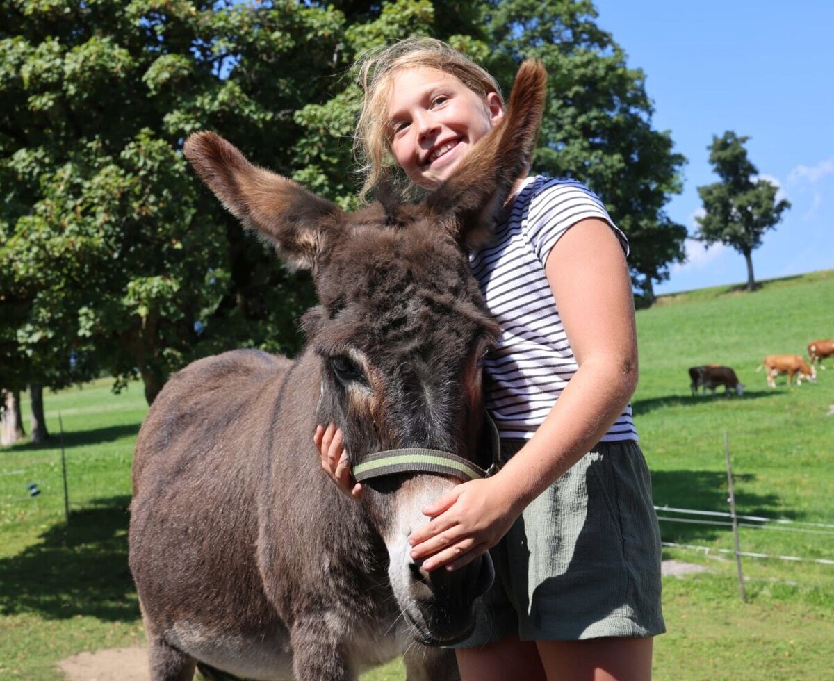A friendly donkey to pet on the spacious green pastures of the farmhouse.