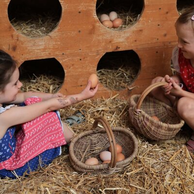 Two happy children collecting fresh eggs in the farmhouse's cozy chicken coop.