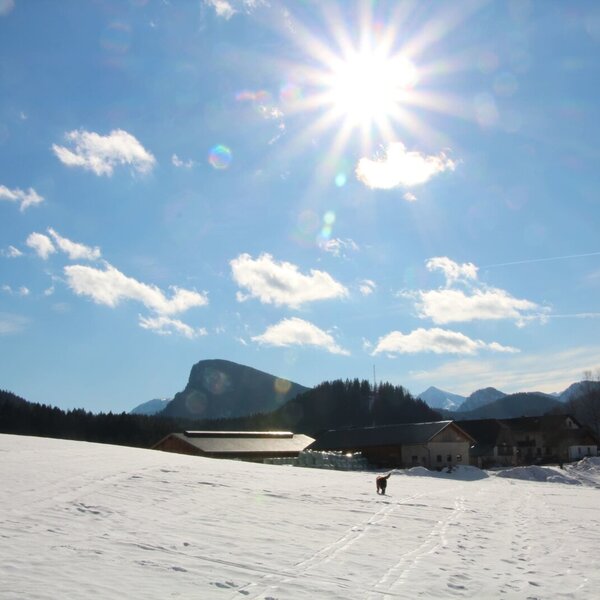 The Farm House is situated amidst snow-covered fields with mountains in the background under a bright, sunny sky.