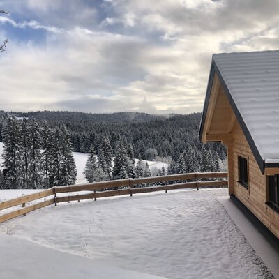 The wooden Farm House exterior in winter, with a snow-covered roof and a view of the snowy forest from the fenced grounds.