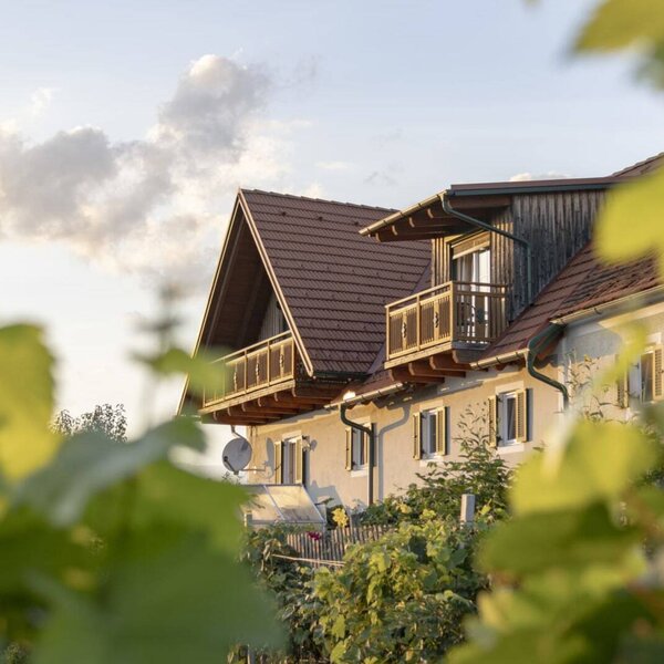 The inviting farmhouse with its traditional wooden gables and balconies, framed by lush green grapevines.