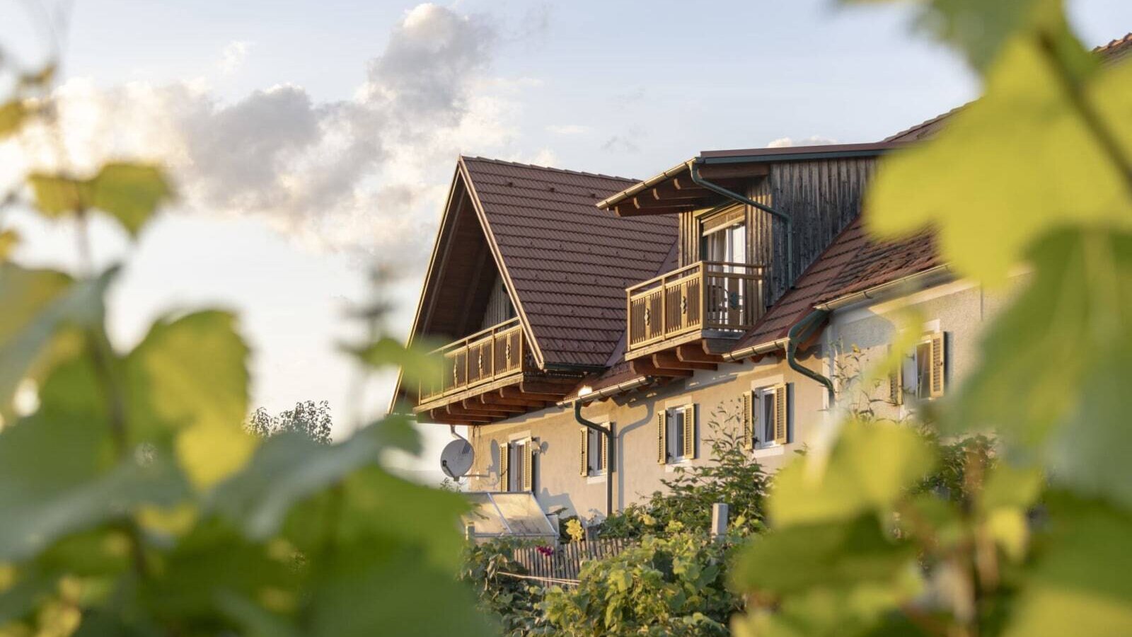 The inviting farmhouse with its traditional wooden gables and balconies, framed by lush green grapevines.