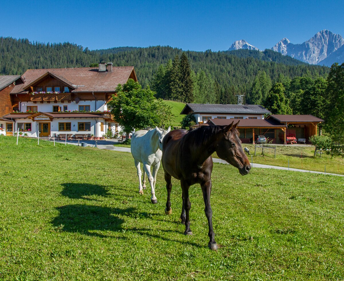 Summer at Brandstätterhof