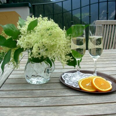 A wooden outdoor table on a balcony at the Farm House, set with flowers, two glasses of sparkling wine, and orange slices, with a mountain view.