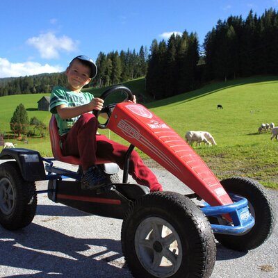 Children enjoying a pedal go-kart ride at the Farm House, with fields and grazing animals in the background.