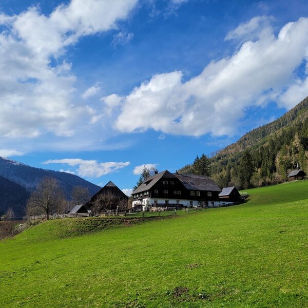 The farmhouse, surrounded by green meadows and mountains, offers rooms and some apartments.