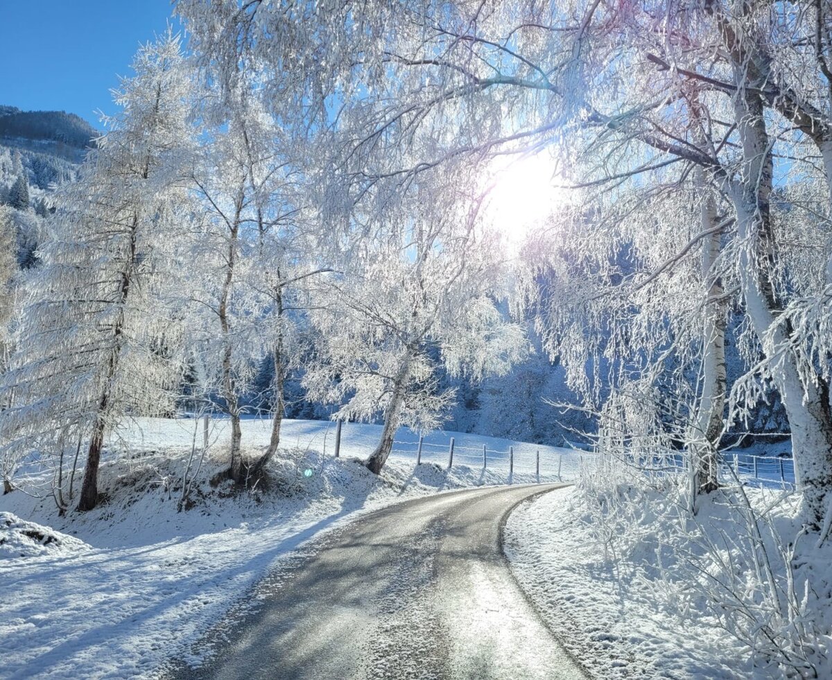 Winter landscape with an access road to the farmhouse, surrounded by snow-covered trees under a blue sky.