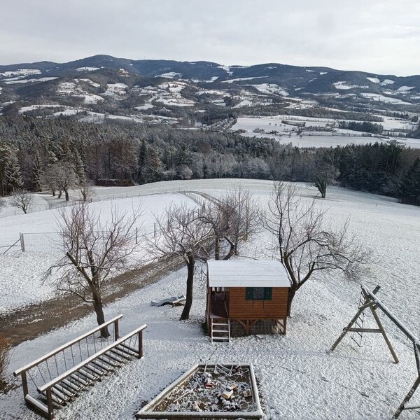 The outdoor area of the Farm House features a wooden playhouse, a swing set, and a fire pit, offering panoramic views of snow-covered fields and hills.