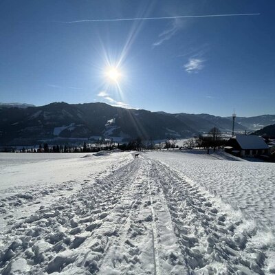 Winter landscape in Pölstal with snowy fields and mountains under bright sunshine, visible from the farmhouse.