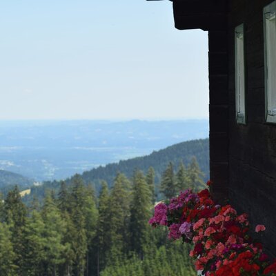 View of forested mountains and distant valleys from the Farm House, with colorful flower boxes beneath the windows.