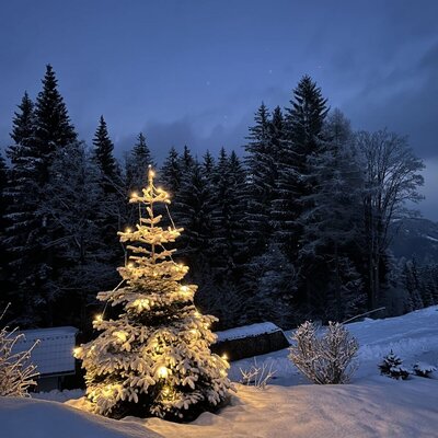 A lit Christmas tree in the snow in front of the Bauernhof, surrounded by snow-covered pine trees at dusk.