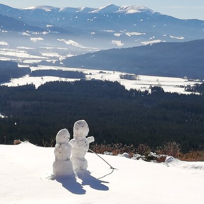 View of the wintry Murtal