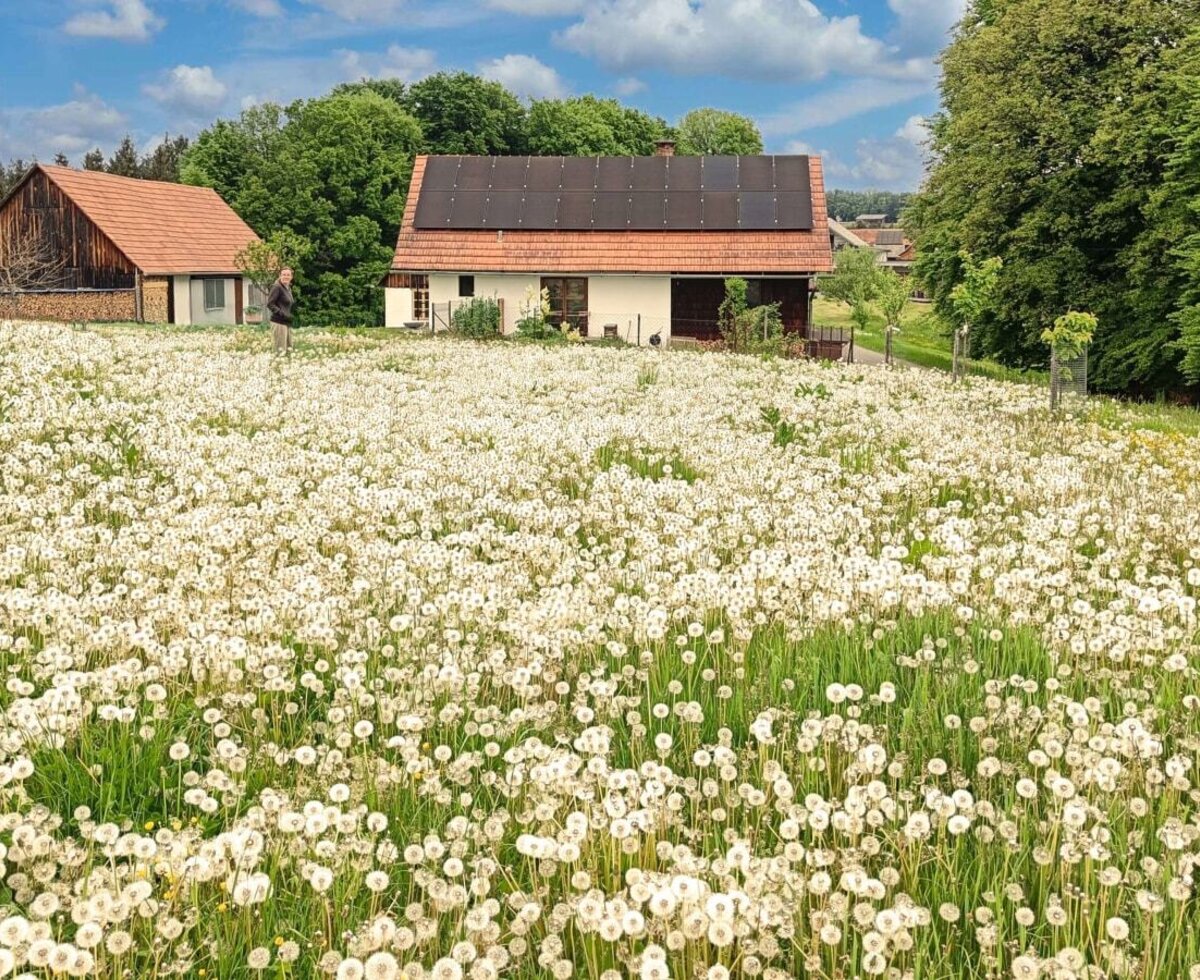 Country House