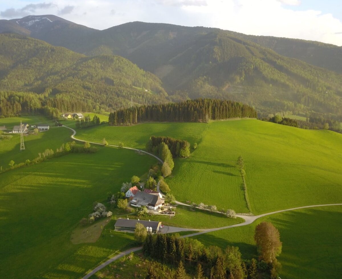 Our farm is located amidst green hills and forests, with a view of the Größing and the surrounding mountains. c_autdany