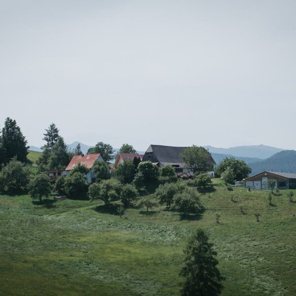 Our farm is located on a beautiful hill. Surrounded by trees, forests, and mountains. c_traeumerherz_fotografie