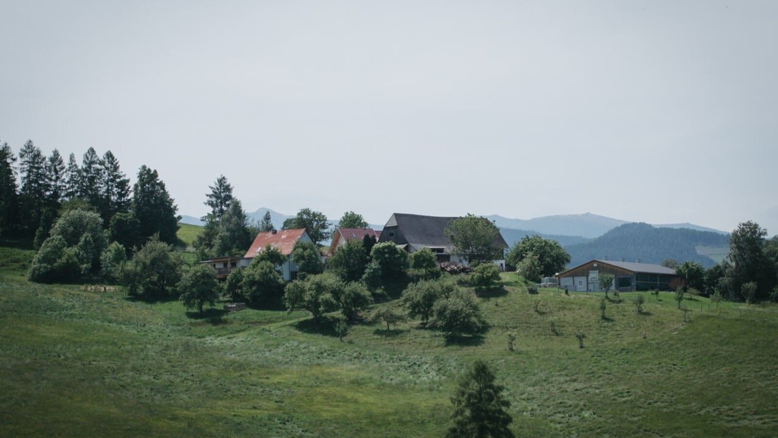 Our farm is located on a beautiful hill. Surrounded by trees, forests, and mountains. c_traeumerherz_fotografie