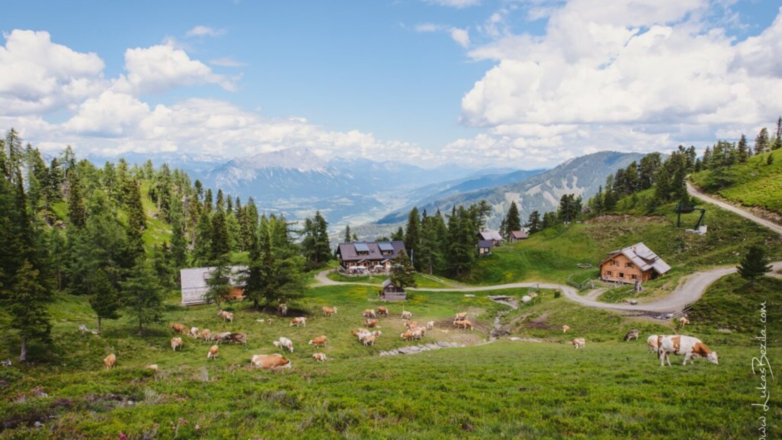 The Alm with grazing cows on the meadow, surrounded by trees and mountains.